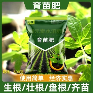 ������������緬����������߲���������ʠI�B������|���÷���