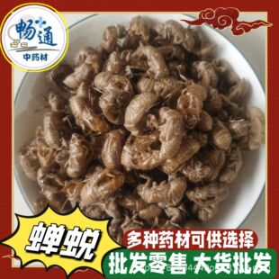 �����l���s͑ɳ�ظ�؛���s�½��s��ɢ�b�o����500������