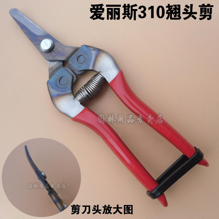 日本进口爱丽斯310稀果剪采果剪刀摘果剪水果翘头剪刀园林工具
