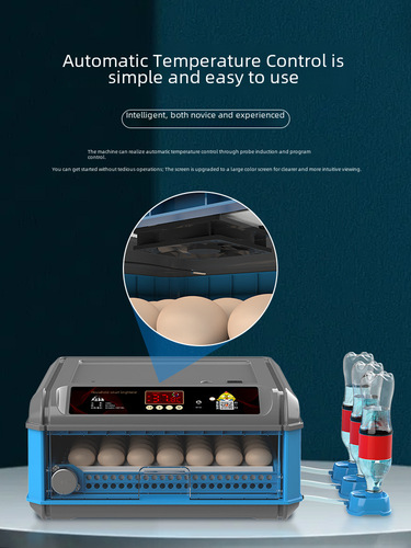 Factory Direct Sale Rutin Incubator Egg Hatcher Machine for Small Eggs, Mini Home Use Fully Automatic Incubator