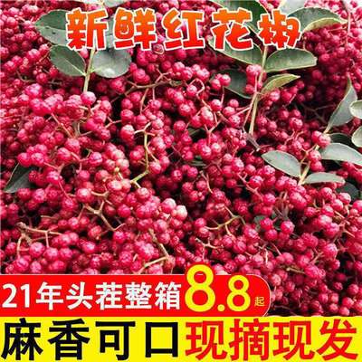 正宗陝西新鮮紅花椒現摘特級大紅袍家用特麻調味濕生幹花椒粒批發