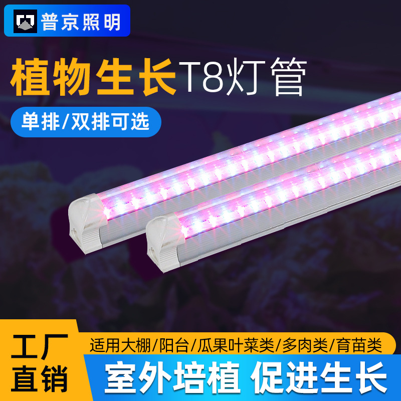 T8植物生长灯led全光谱多肉补光灯植物灯蔬菜大棚上色紫光T8灯管