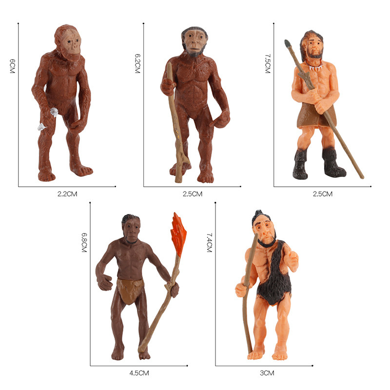 Ciencia y Educación Educativa DE LOS NIÑOS Sol Galaxy Universo Planeta hombre primitivo mono evolución etapa decoración modelo juguete
