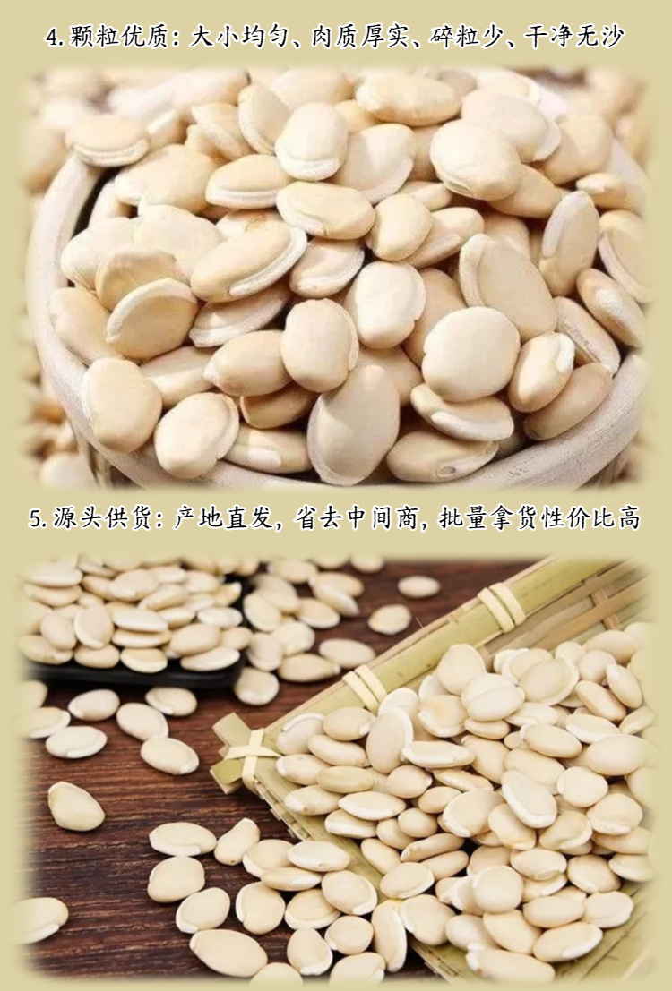 White Hyacinth Bean Bai Bian Dou Dried Seeds Sulfur-Free Raw Herb for Herbal Tea and Congee 500g Bag specifications