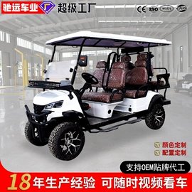 高尔夫球车;电动观光车