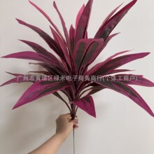 �羳������������~ 18�^ľ��Ѫ�� �콶�Gֲ�҃��쾰���˽��b���