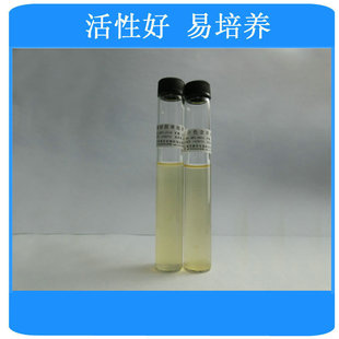 10ml�����¹�������}�ȵ����L�✫-�f��ø��   �S�ҹ���