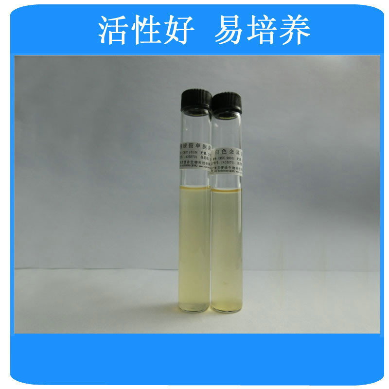 9mlTBB 琼脂<产气荚膜梭菌检验系列> 培养液  厂家供应