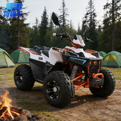 Shunrui brand electric ATV all-terrain beach vehicle for scenic area operations, adult mountain bike, four-wheel motorcycle (Elektrikli motosikletlər)