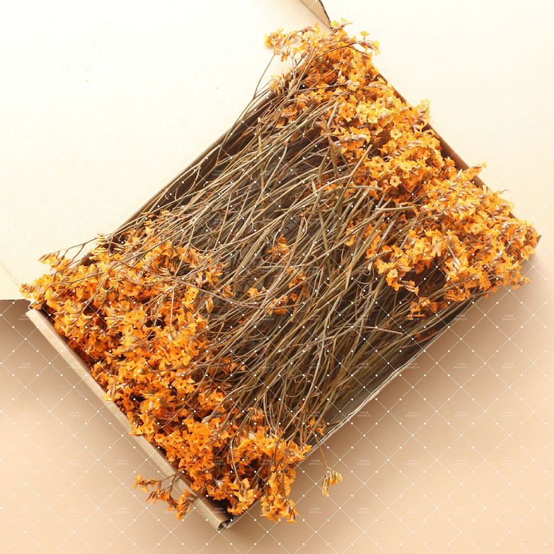 跨境热销多彩水晶草永生花干花饰品婚礼礼物装饰伴手礼云南直销|undefined