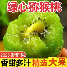 ���ھG�īJ�����殐��������l�������rˮ��������]�����֭