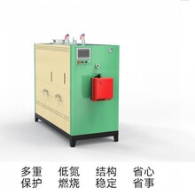 工厂定制300kg燃油气蒸汽发生器全自动安全高效节能食品蒸煮设备