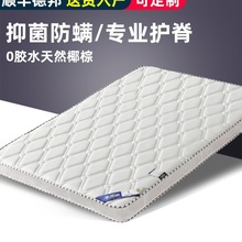 |ȻҬؼ10cmؙӲ|Ӄͯoo؉|ۯB