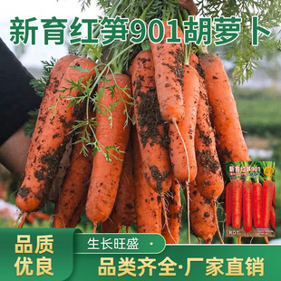 �����t�S901���}���N��ˮ���߲��}�����Ѵ������ļ���@�߲���