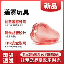 ˮ��ϵ��ɏ�F©ʳ������� TPR���|����������С��Ȯ����������l