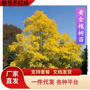 һ�����l���������������צ���S����@�־G��ͥԺ������ľ��