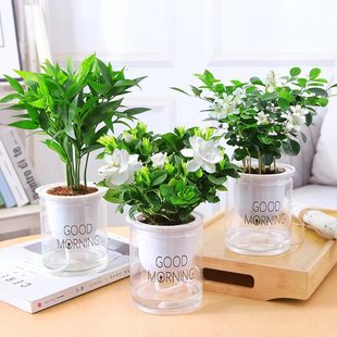 �G�}ˮ��Gֲ�������҃Ȱlؔ�主�F���ľG�j���ɶ��⻨���ļ����B