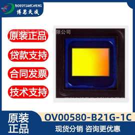 OV00580-B21G-1C   原装正品图片视频处理芯片   可开增值税发票