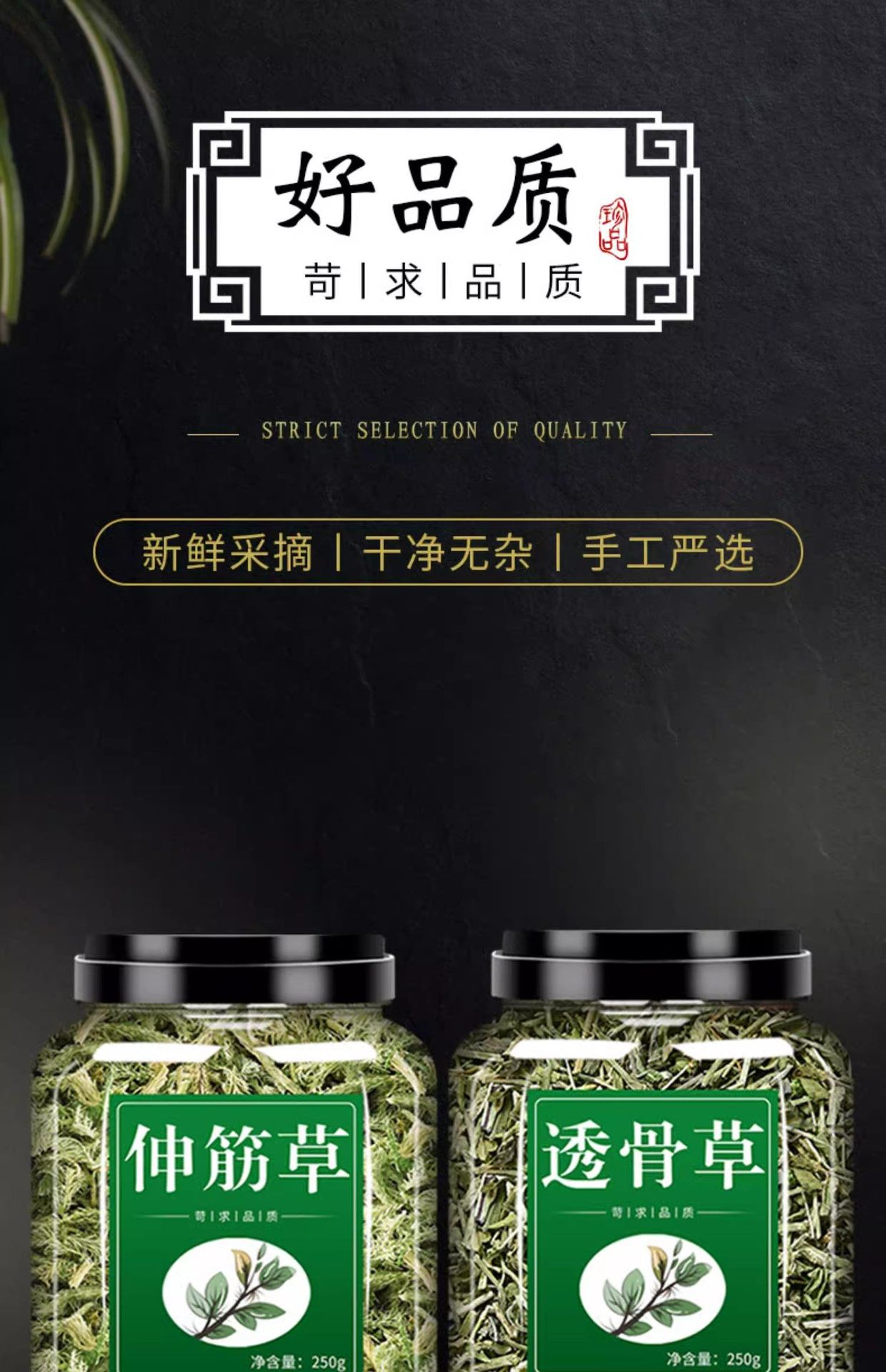 Tou Gu Cao透骨草 Dried Chinese Herbs 500g Traditional External Herbal Soak overview