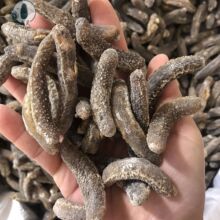 ɳ�d������ɳ�d���S��ɳ�d100�^ ���x�a��ֱ�N ����ɺ������l