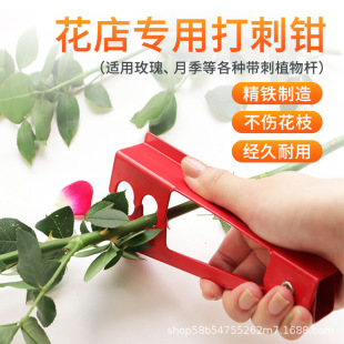 Rose Thorn Removal Tongs Flower Shop Thorn Supplies Iron Thorn Removal Artifact Thorn Clip Flower Scissors Thorn Treasure Thorn Removal Tools
