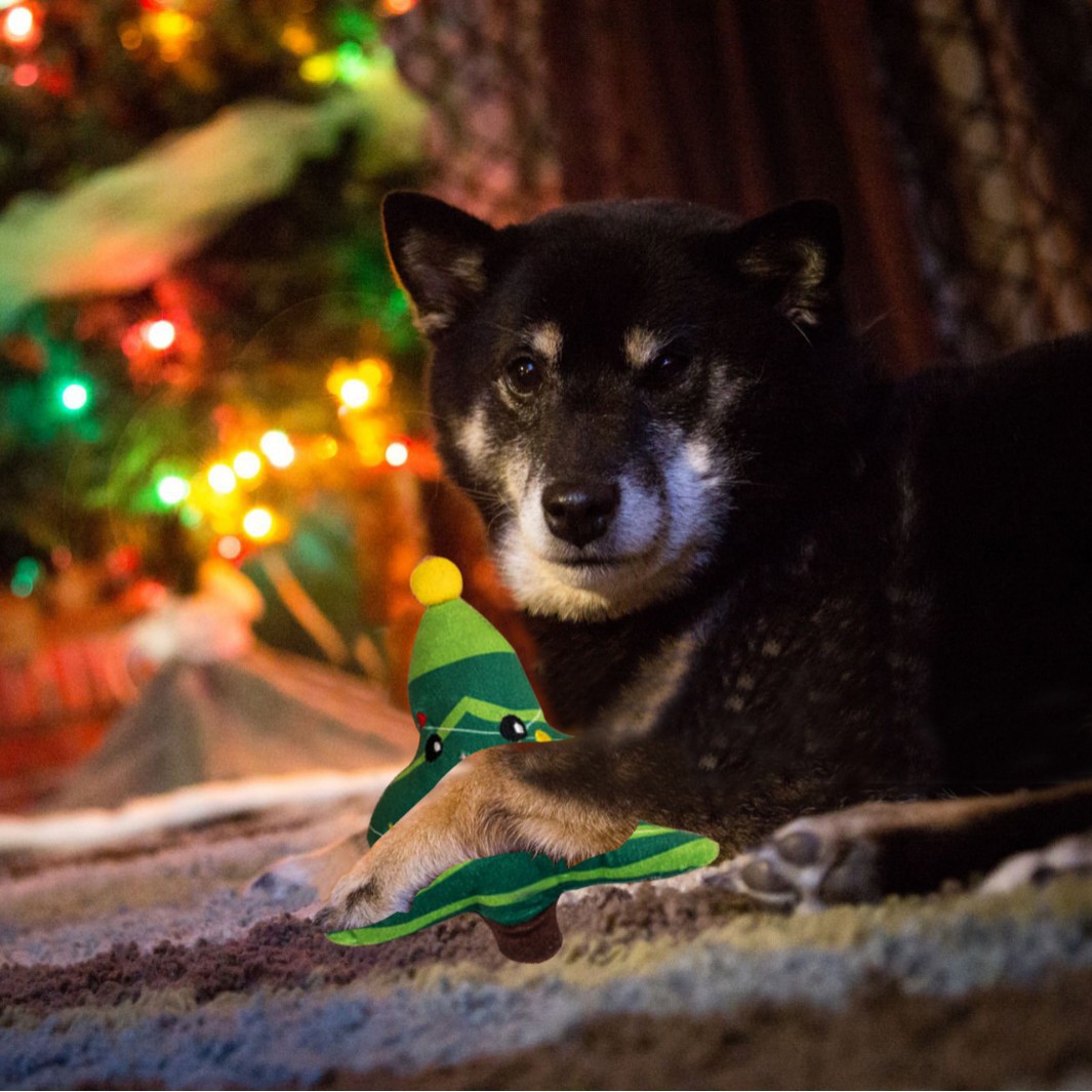 Navidad mascotas interactivas juguetes de peluche juguetes para gatos juguetes