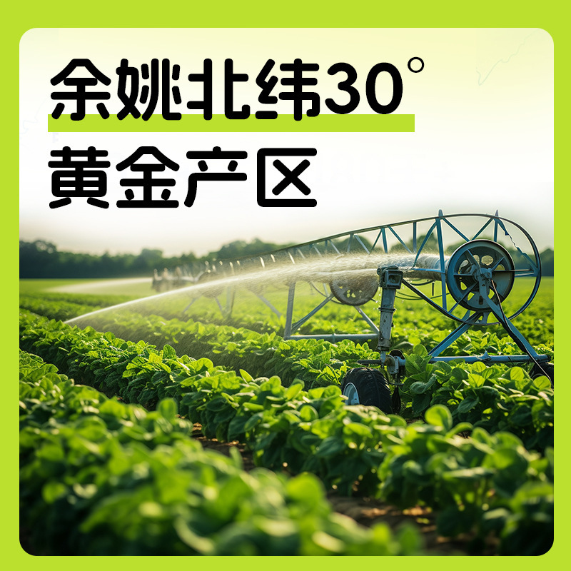 [旗舰] 备得福 15包脆嫩榨菜芯咸菜下饭菜30g规格散装|undefined