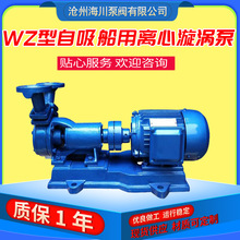 WZ型自吸船用离心漩涡泵卧式循环泵机械设备用离心泵不锈钢自吸泵