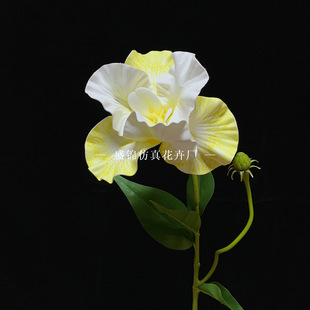 ���滨��c���Ć�ֻ�ָд��Sβ�m�������l�ָл��Sβ�{�Ɍ����