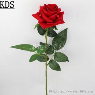 �V���¿��֧�q����õ ���˹��껨 ����õ�廨�� ���滨 ����