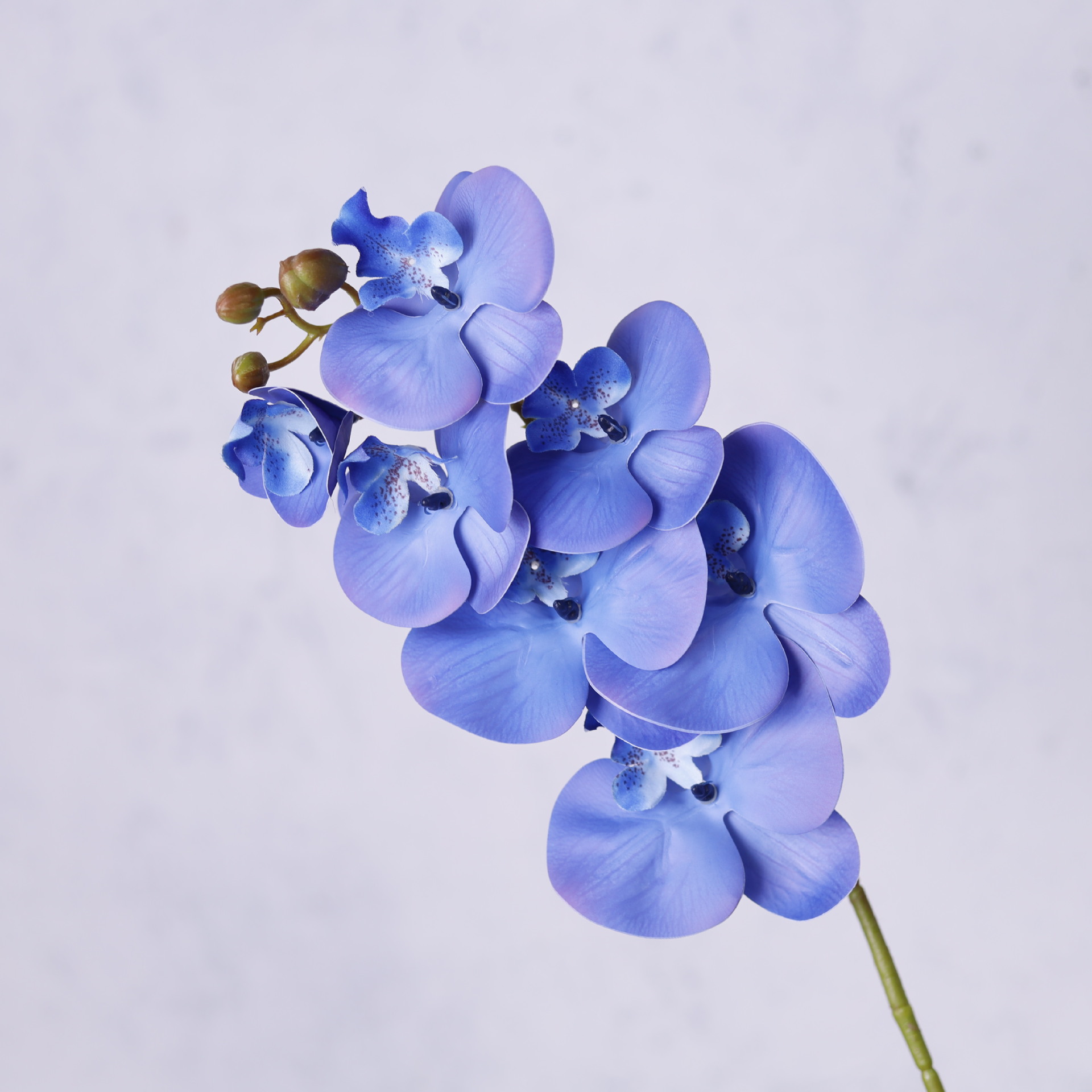 Impresión 3D de 7 cabezas de orquídeas mariposa flor de decoración de flores de alto nivel flor de nicho decoración floral decoración de sala de estar