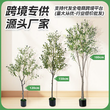 羳ϙɲb٘bWL̈bֲɶ