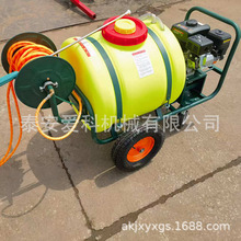 160/200/300L手推汽油消毒机打药机蔬菜大棚厂房喷雾机射程远手拉