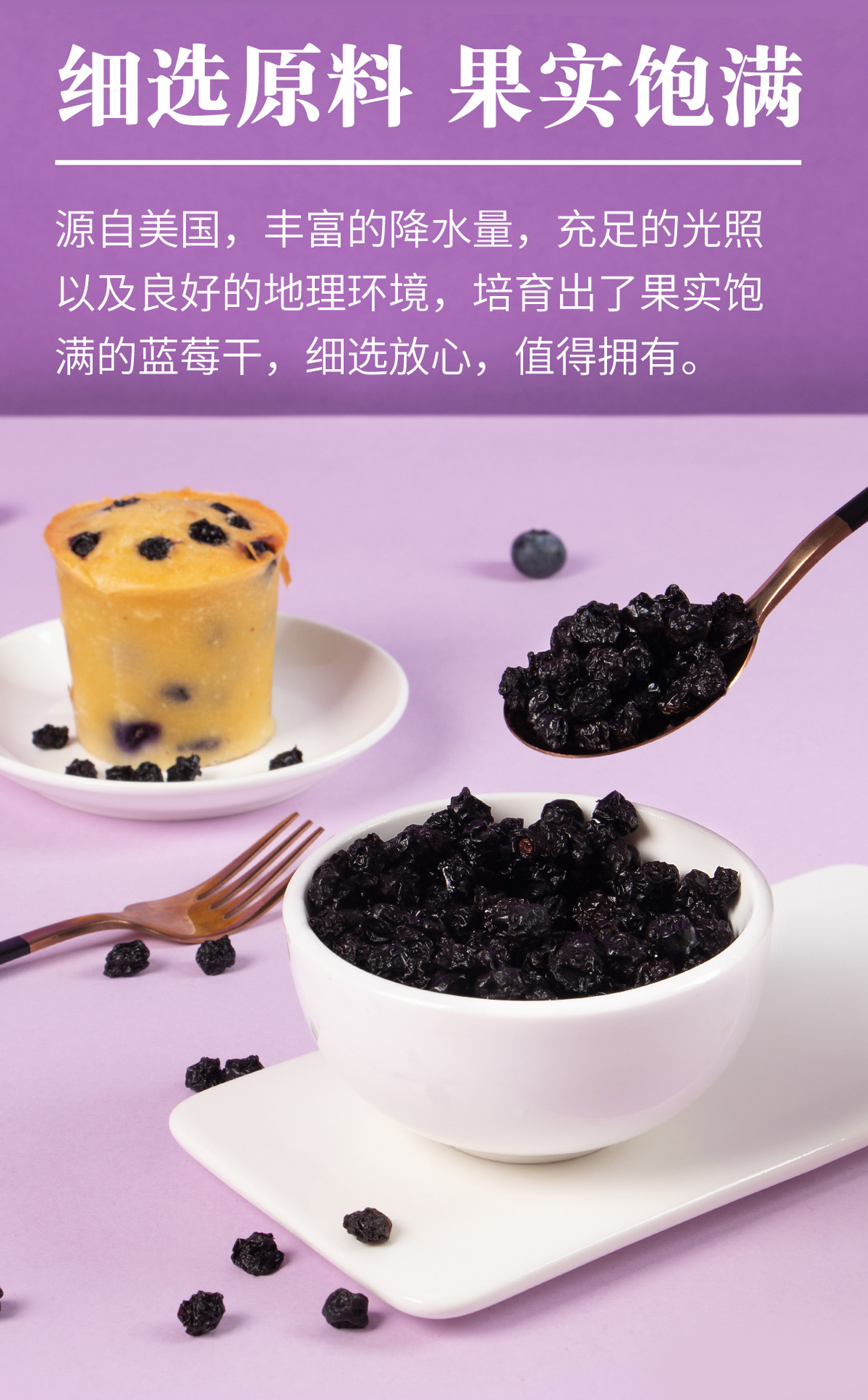 蓝莓干详情页新_04.jpg