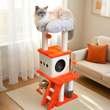 һ�w؈����̫��œ؈�C؈��ľ�|؈���Ӵ���ͨ����؈ץ��؈�����