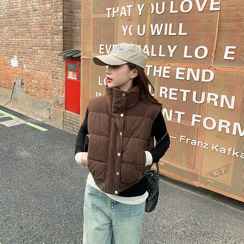 Comercio exterior de lana de pluma de algodón chaleco de mujer otoño y invierno de 2025 nuevo estilo coreano holgado chaleco de hombro de clip de caballo chaqueta