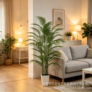 �ķ�������ͩ��ëާ�p���L�٘��҃ȿ͏d�b[������쾰�����Gֲ