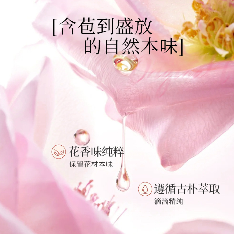 GECOMO No Man 's Land Rose Fragrance, fragancia francesa, fragancia duradera, fragancia falsa image 4