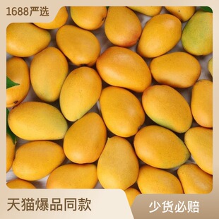 Hainan xiootai Mang Fresh Fruit - это не Kait Mango Golden Mang Mangzhi, как часть Xiaotai Mang 10 фунтов на пьесу