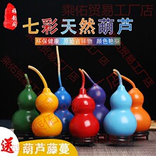 �߲���Ȼ���J�Ʒ�[����ɫ���LС���J�ރ�ͯ������ߒ������