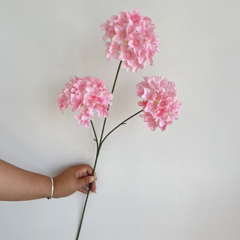 3개의 머리 눈꽃 수국-핑크