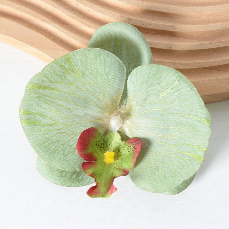 胡蝶蘭の花の頭は花びらの部品をシミュレーションします。|undefined