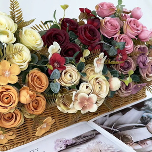 �¿����Q���l���滨��ɫ������õ��������С�ѻ����Ô[����ɫõ��