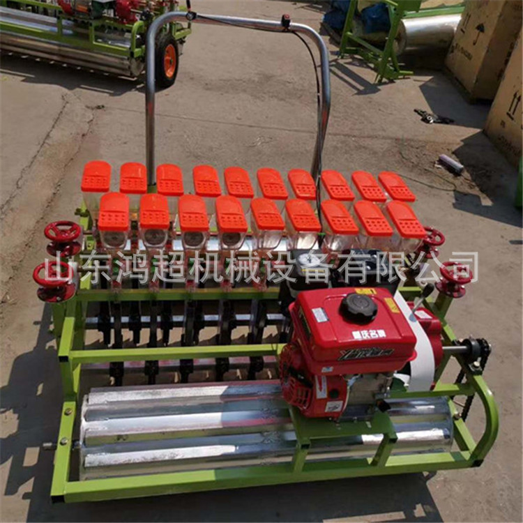 手推苜蓿草点播机 柴胡药材精播机四轮牵引式种菜机