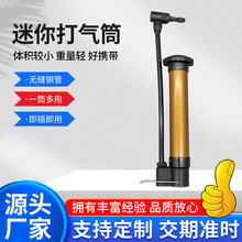 便携式打气筒篮球小气筒 自行车皮球游泳圈充气针篮球迷你打气筒