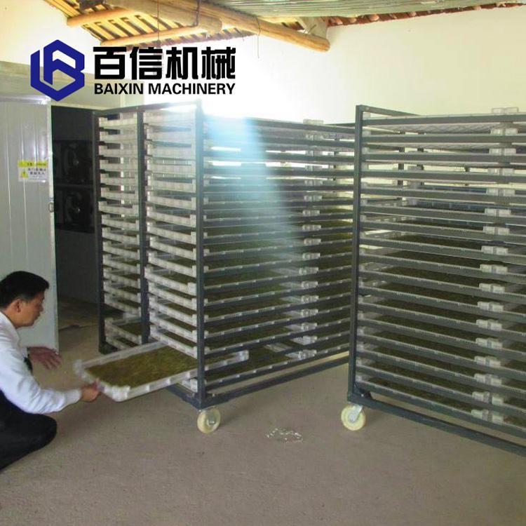 厂家供应 金银花烘干机 中药材网带循环干燥机 金银花烘干机报价