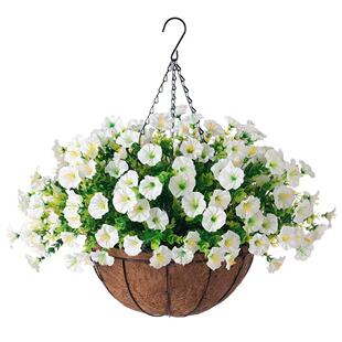 ���R�d���滨7���ȼ�����ţ�����Ȼ����첼���Gֲ�ٻ��Ҿӑ����b