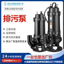 汇浪品牌2寸潜水排污泵50WQ18-30-3 50WQ15-15-1.5大流量潜水泵