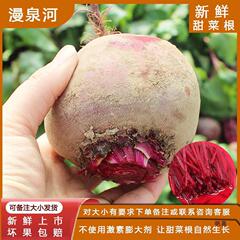 新鮮なビーツ 2.5kg ライムレット レッドビーツ レッドビーツ 農産物 野菜 産地直送 送料無料