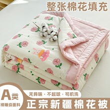 100%�½��޻����ě���A�ĸ�뼉���{���ı����p�˿əCϴ���ӱ���a